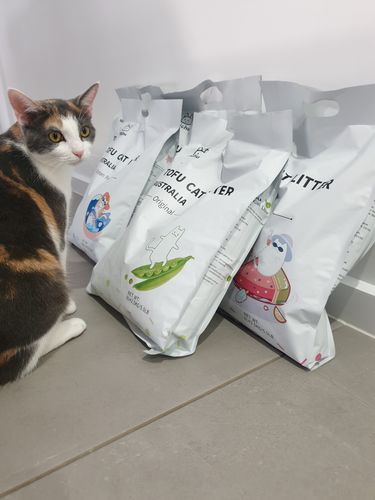 Customer photo review of Michu Natural Clumping Tofu Cat Litter 2.5kg/6L