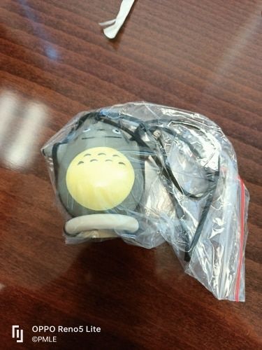 Customer photo review of Totoro Swing Ornaments