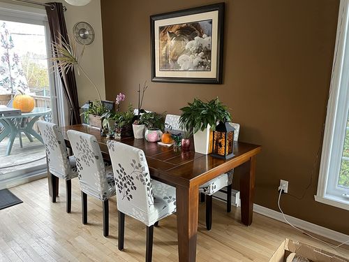 Customer photo review of Stretchable Chair Covers, Petal Grey