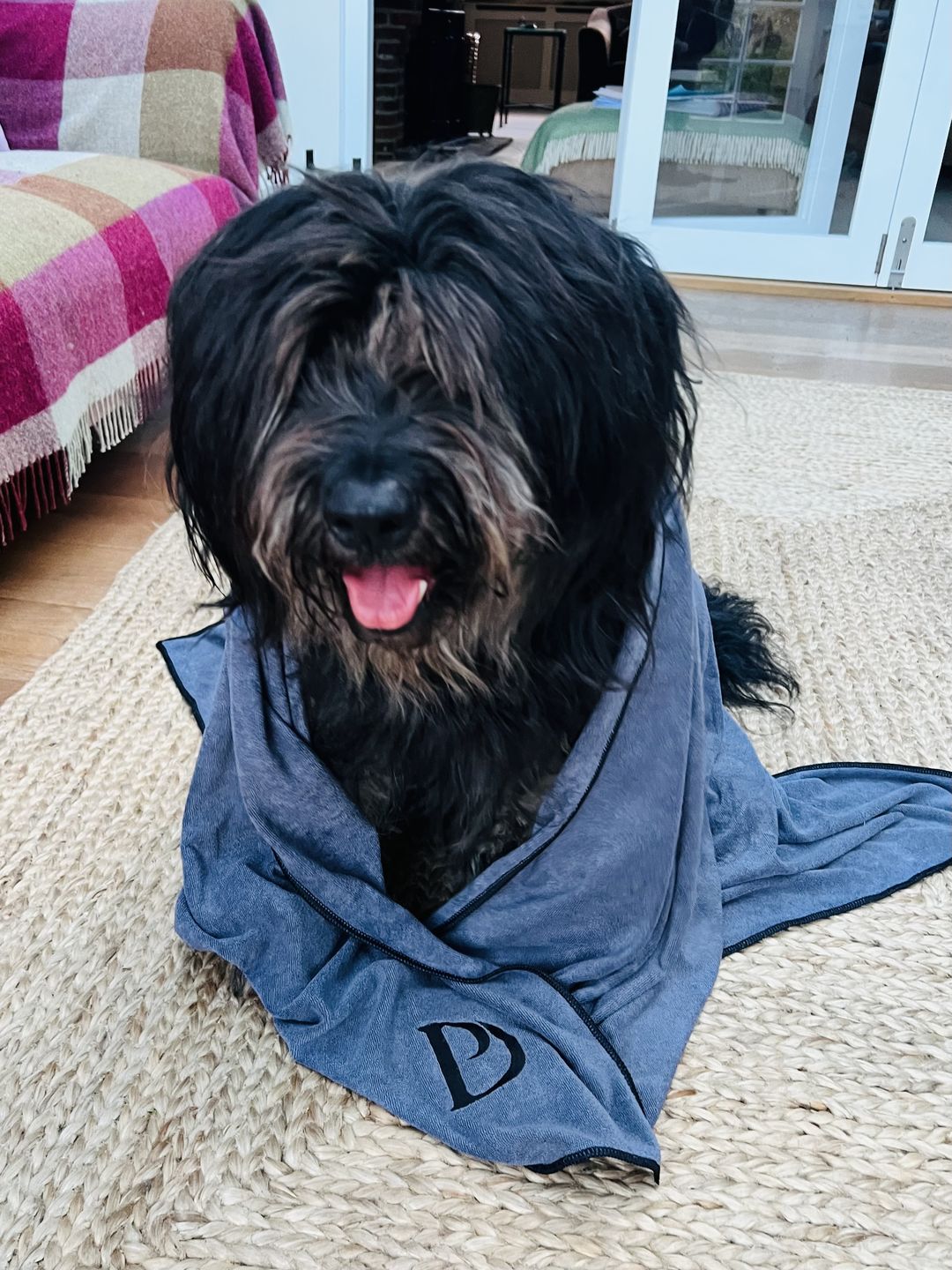 Customer photo review of Luxury Dog Towel