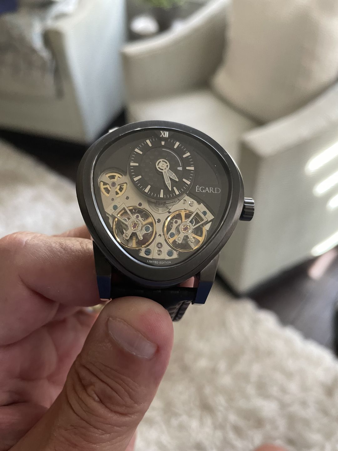 Customer photo review of Quantus Carbon-Beast AUTO