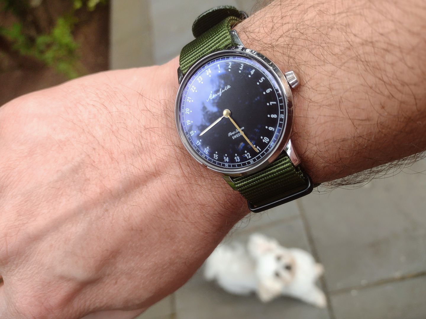 Customer photo review of First Season Silver Black with Green NATO