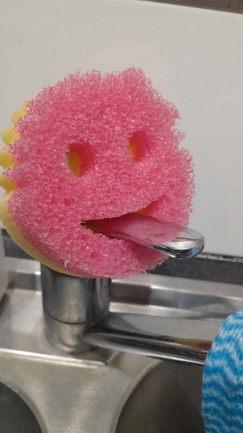 Customer photo review of Scrub Daddy Family (6 Pack)
