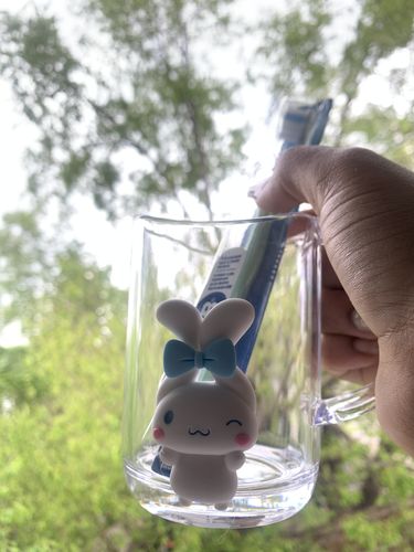 Customer photo review of Sanriocore Toothbrush Holder