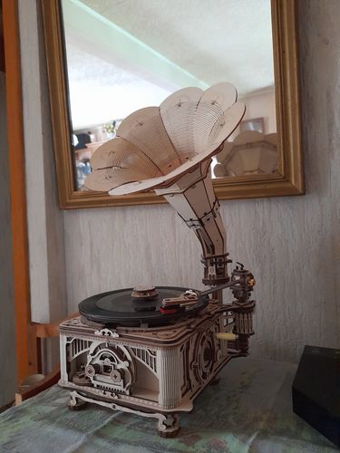 Customer photo review of Puzzle 3d | Gramophone Classique