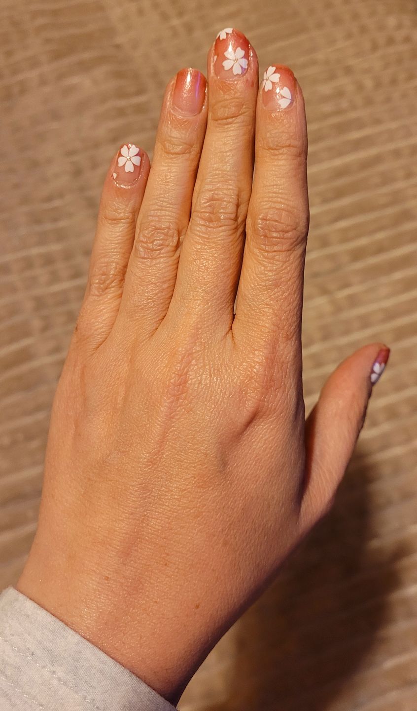 Customer photo review of Cherry Blossom