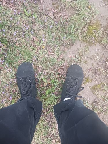 Customer photo review of Ursus High-Top