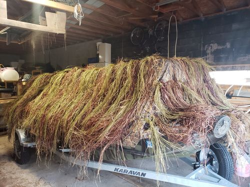 Customer photo review of Hunting Blind Raffia Grass (Individual)