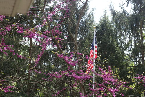 Customer photo review of Heavy Duty American Flag - Outdoor Nylon - Made In USA