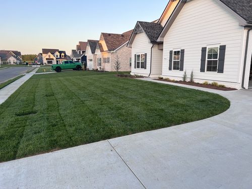 Customer photo review of N-Ext Humic12