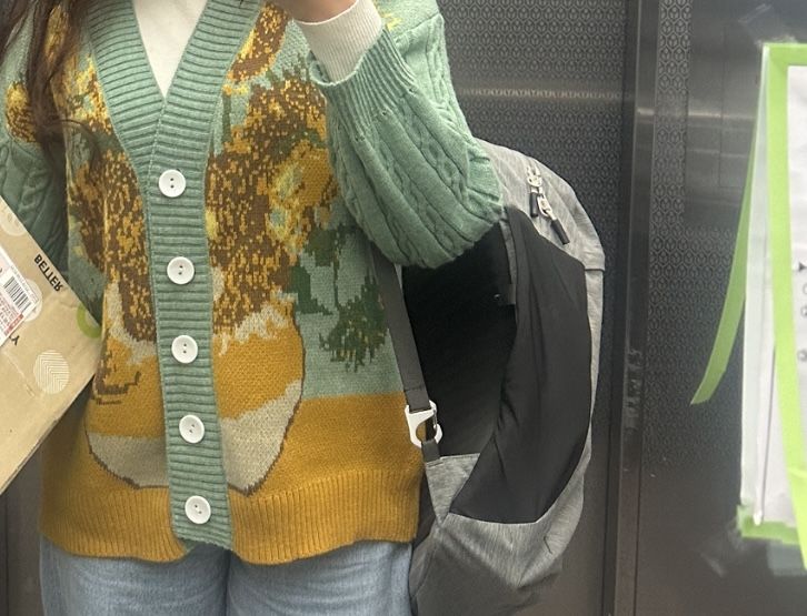 Customer photo review of Van Gogh Vintage Cardigan Knit Sweater