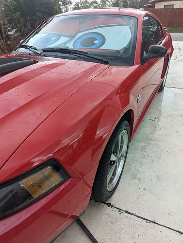 Customer photo review of Seriously Angry Cartoon Eyes Custom Car Windshield Sunshades