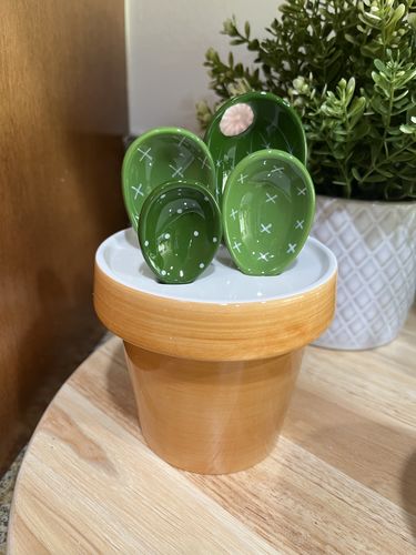 Customer photo review of Cactus Measuring Spoon Set