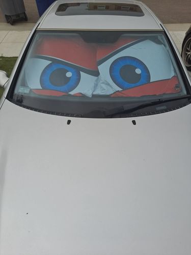Customer photo review of Seriously Angry Cartoon Eyes Custom Car Windshield Sunshades