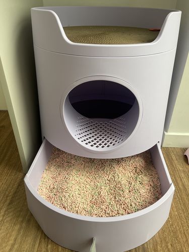 Customer photo review of Michu Tofu Cat Litter - Odour-Free and Natural Clumping Tofu-Based Formula for Easy Cleanup