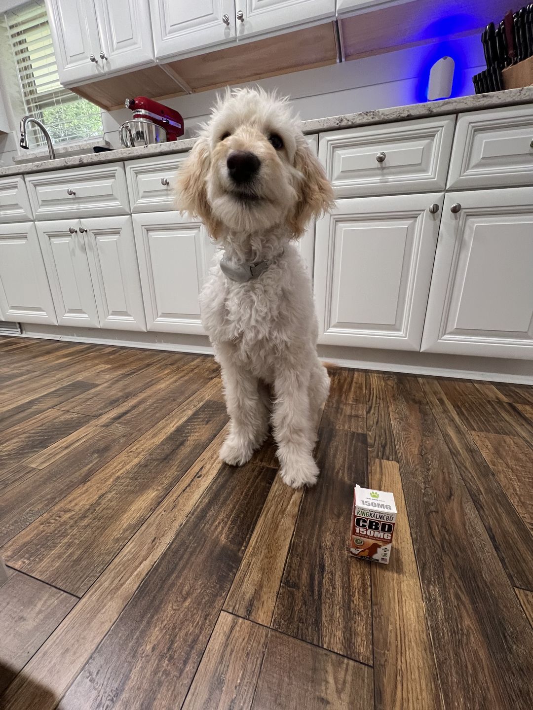 Customer photo review of KING KALM™ CBD 150mg - Medium Size Pet Formula (5mg of CBD per 1ml)