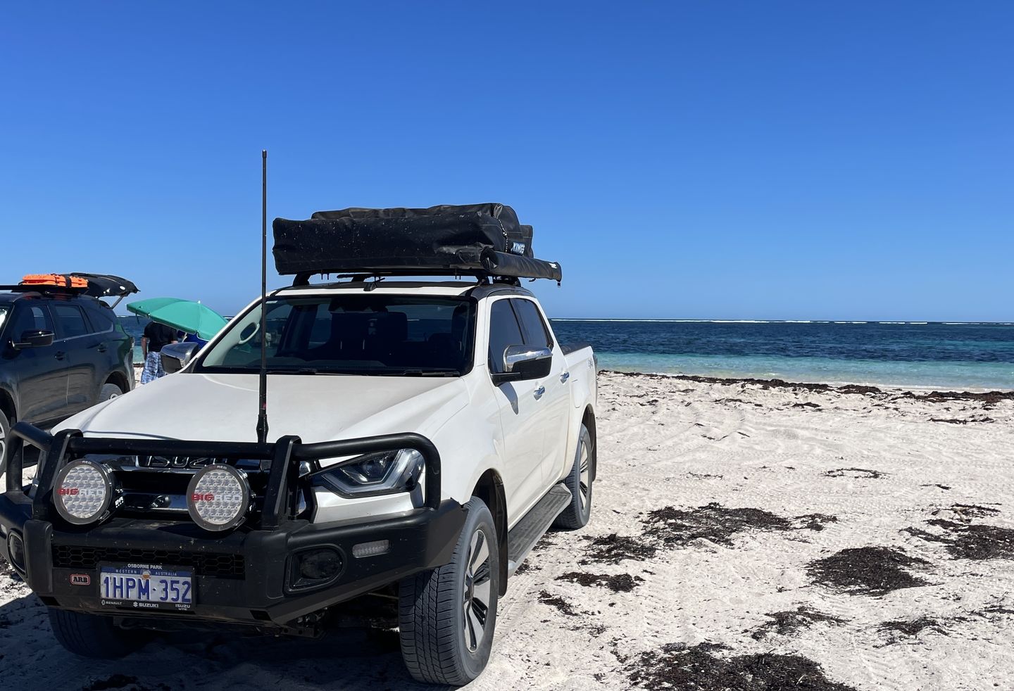 Customer photo review of 9" Inch BRG Starter Kit