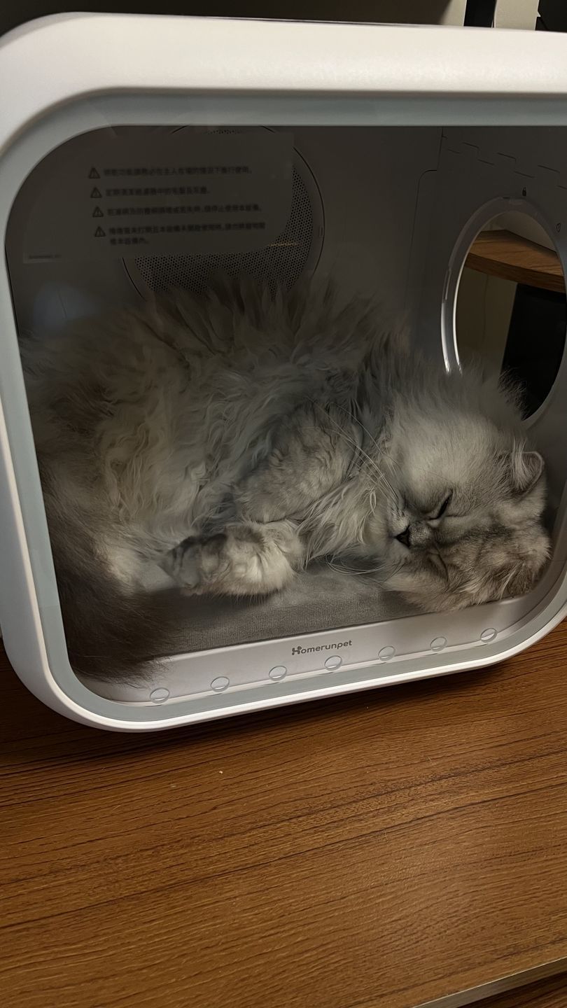 Customer photo review of homerunPET Dryboシリーズ ペットドライヤーハウス（50L・62L）