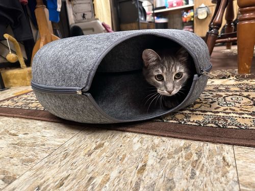 Customer photo review of Catfri® Hotel - Kattetunnel Seng