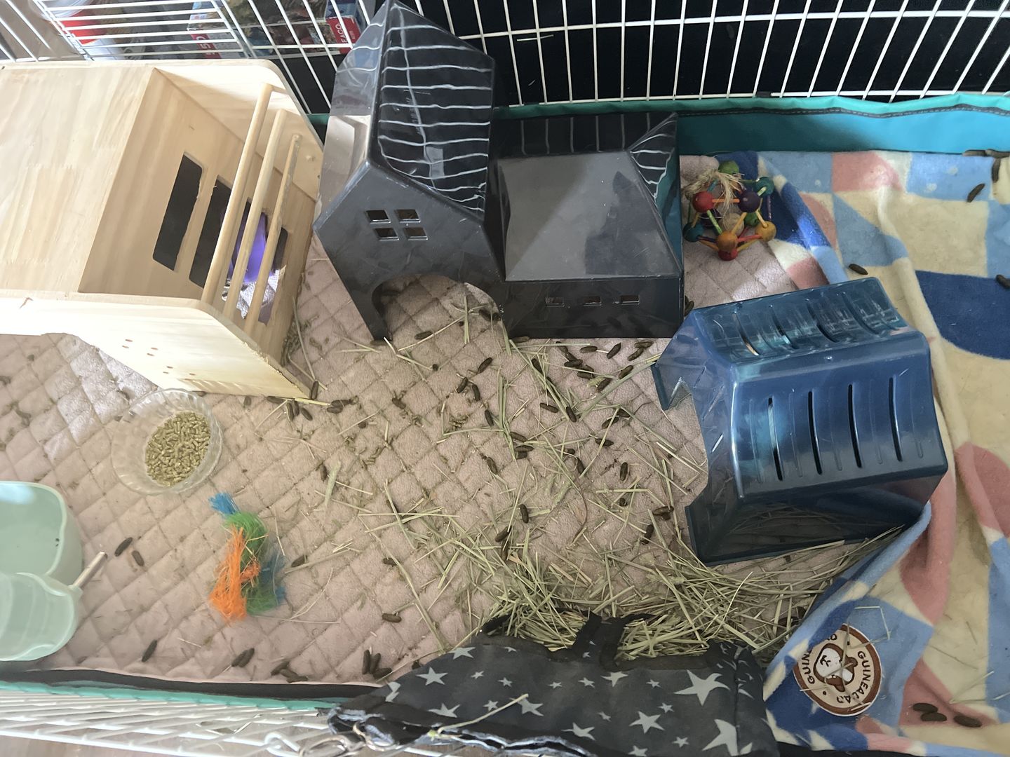 Customer photo review of Premium GuineaDad Liner