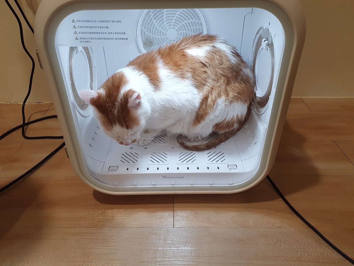 Customer photo review of homerunPET Dryboシリーズ ペットドライヤーハウス（50L・62L）