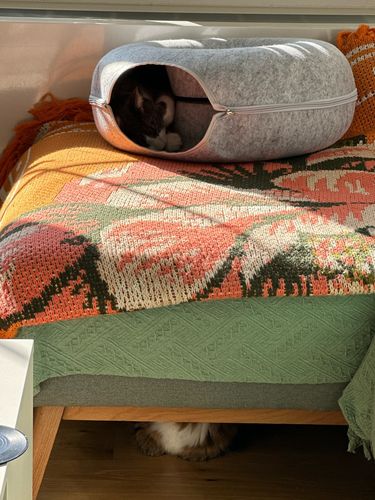 Customer photo review of Catfri® Hotel - Kattetunnel Seng