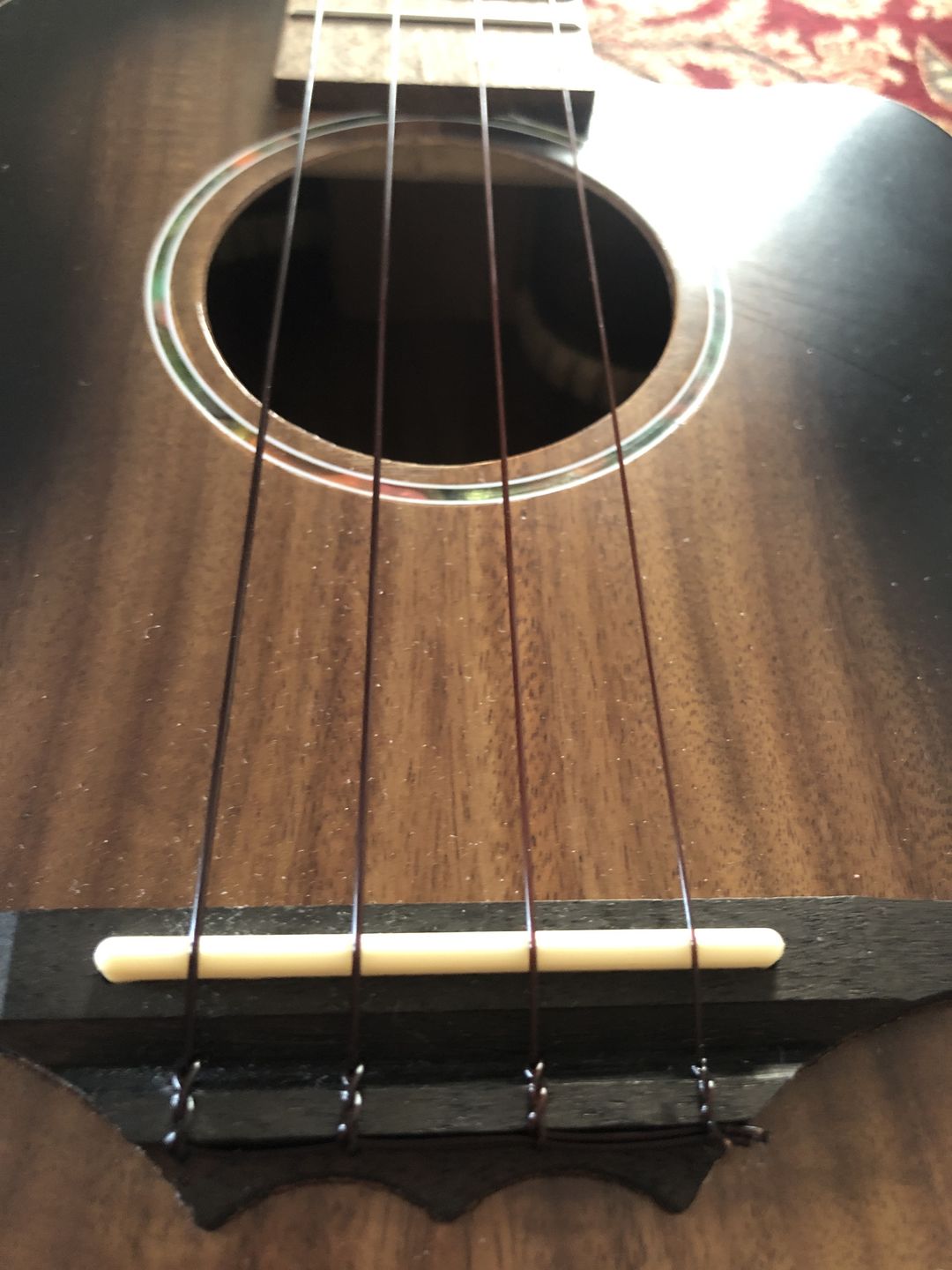 Customer photo review of BF-LG Worth Brown Fat Low-G Tenor Ukulele Strings Flurorcarbon 2 Restrings per Packet