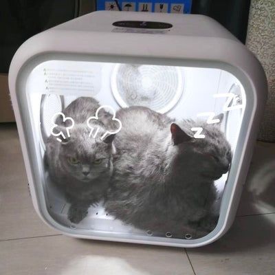 Customer photo review of homerunPET Dryboシリーズ ペットドライヤーハウス（50L・62L）