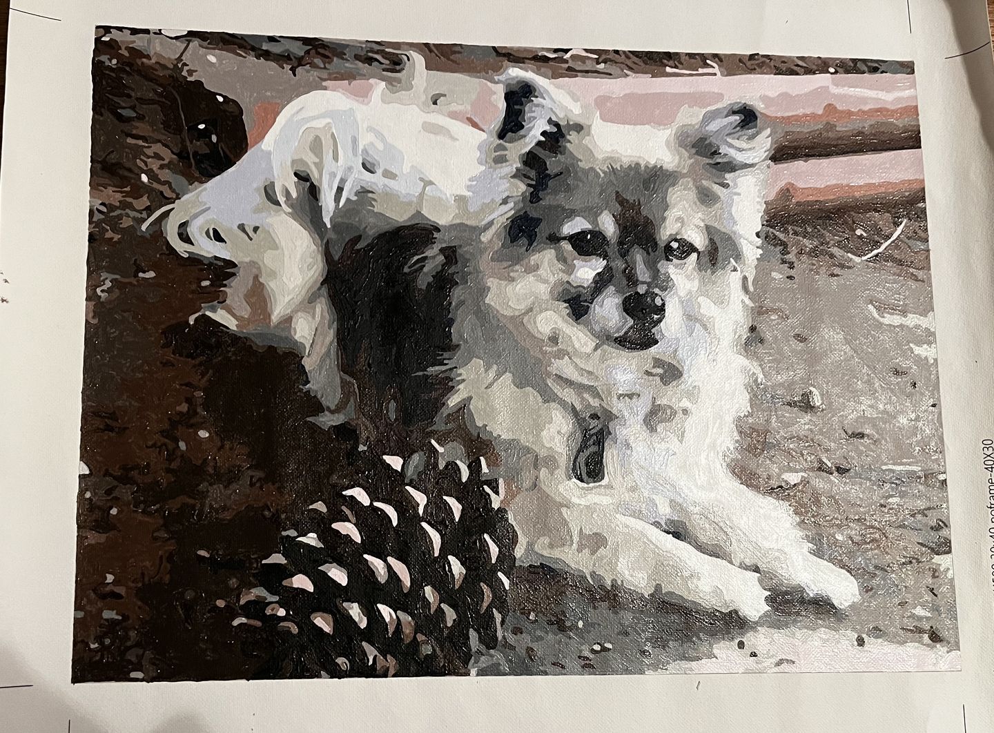 Customer photo review of Custom Paint By Numbers Kit - Upload Any Photo 30x40cm