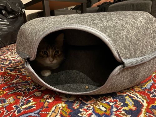 Customer photo review of Catfri® Hotel - Kattetunnel Seng