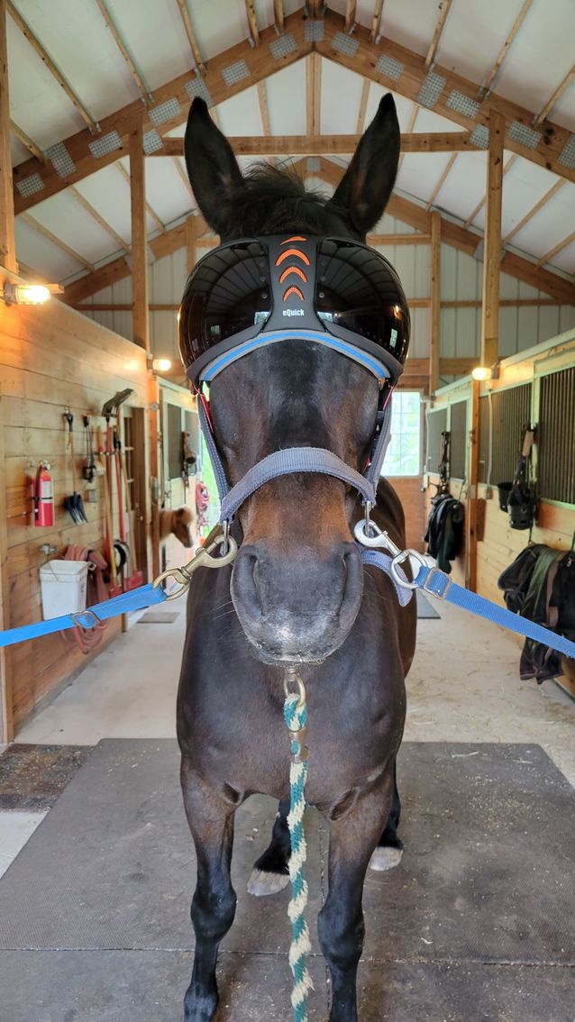 Customer photo review of eVysor - UV Horse Riding Goggles!