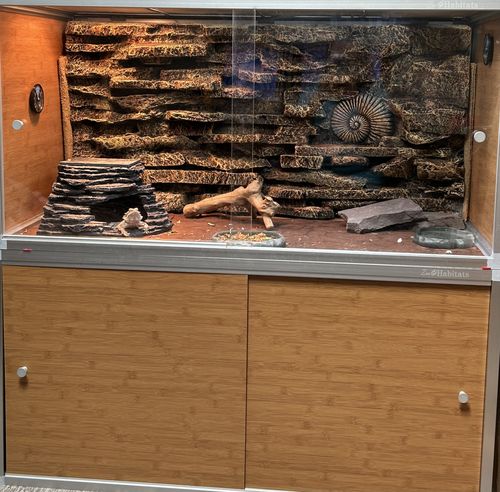 Customer photo review of 4'x2'x2' Meridian Wood Reptile Enclosure