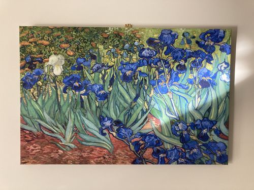 Customer photo review of Irises 2 By Van Gogh