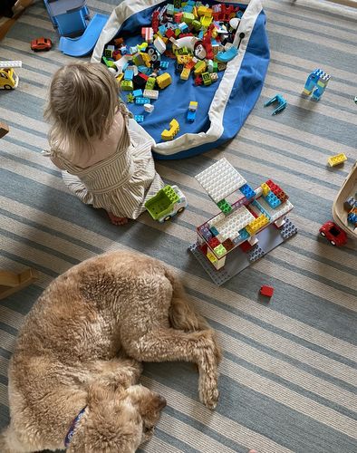 Customer photo review of Large Toy Storage Bag - Star Dust Blue (Canvas)