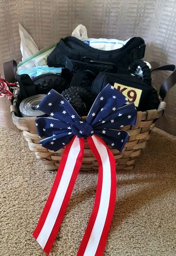 Customer photo review of Classic Heavy-Duty Tactical No-Pull Team K9™ Dog Harness With Front & Back D-Rings, Quick-Release Metal-Buckles, Hook & Loop Panels, & Top Handle