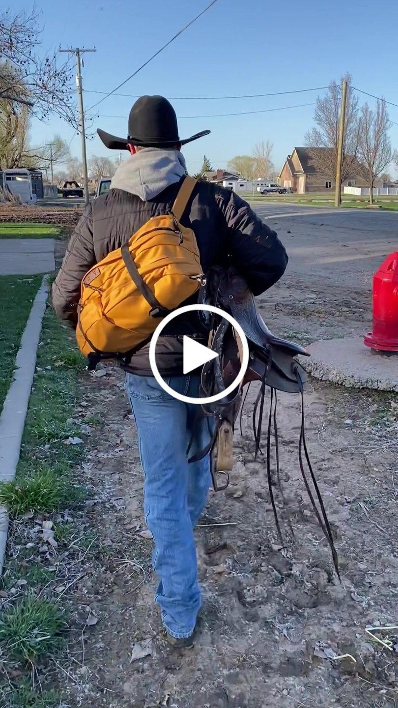 Customer video review of The Brumby