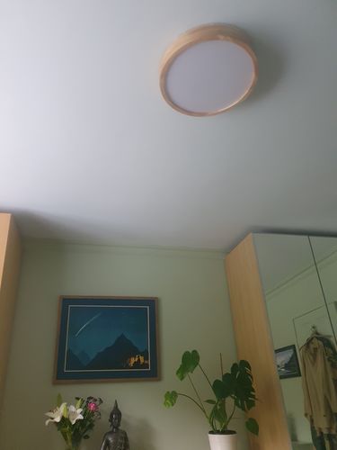 Customer photo review of Scandinavian Wood LED Flush Mount Light