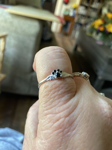 Customer photo review of PAW WINGS RING-REMEMBER THAT WE WILL MEET AGAIN