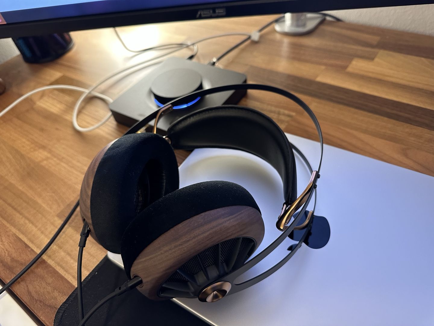 Customer photo review of Meze Audio 109 PRO Headphones
