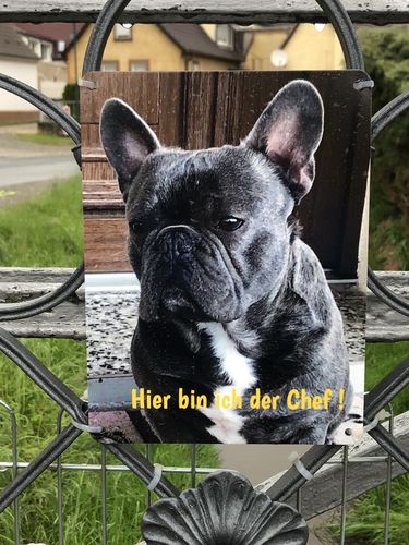 Customer photo review of Hunde-Türschild mit Foto & Wunschtext