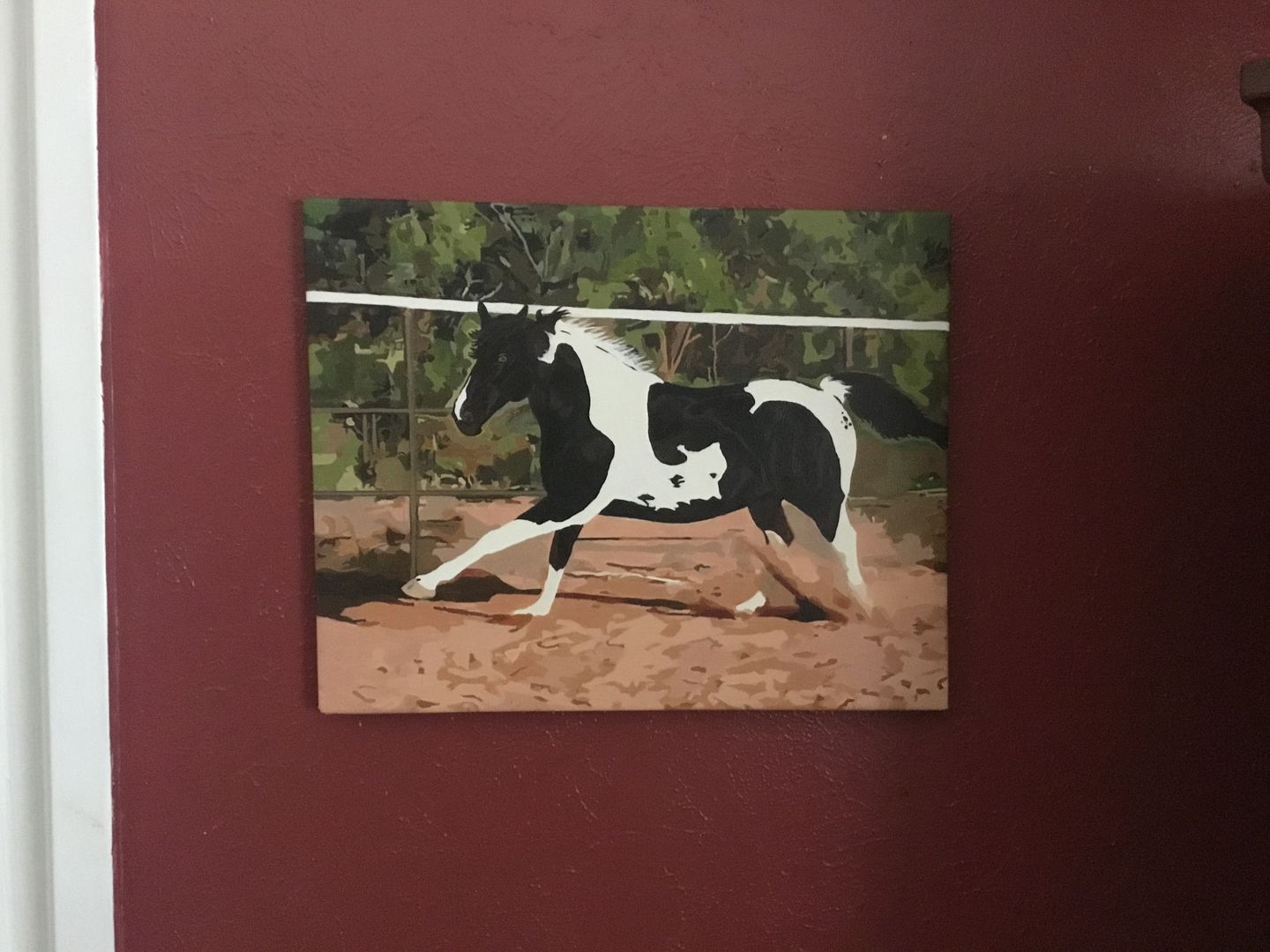 Customer photo review of Pine Wood Canvas Frame Kit