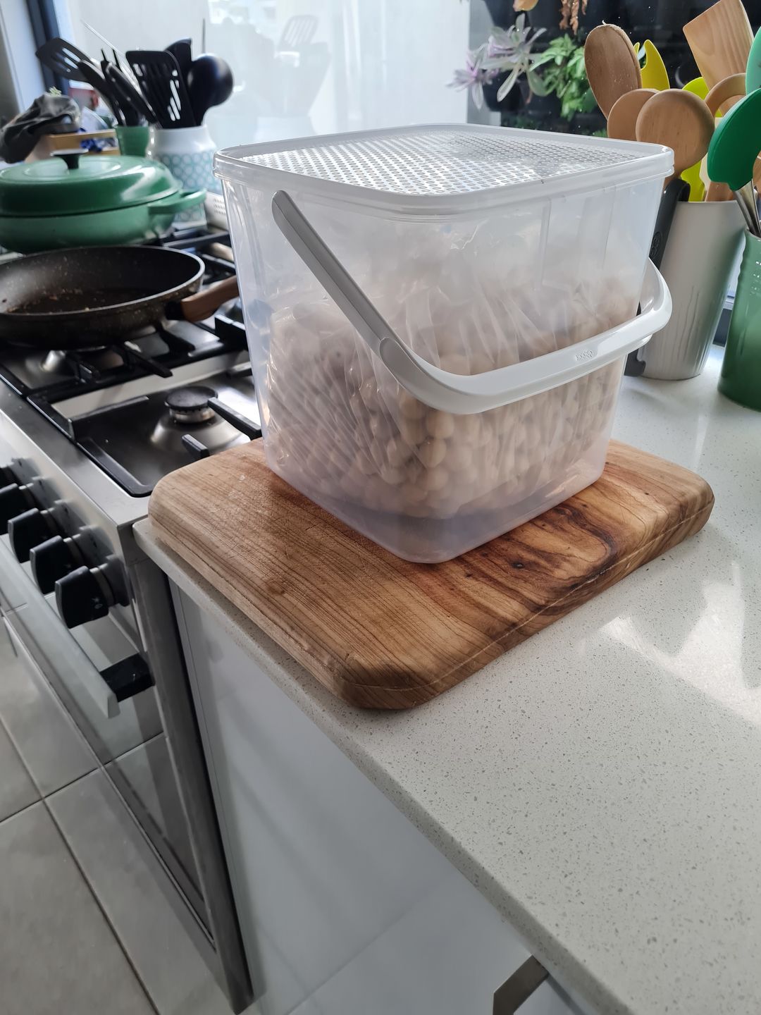 Customer photo review of Natural Australian macadamias
