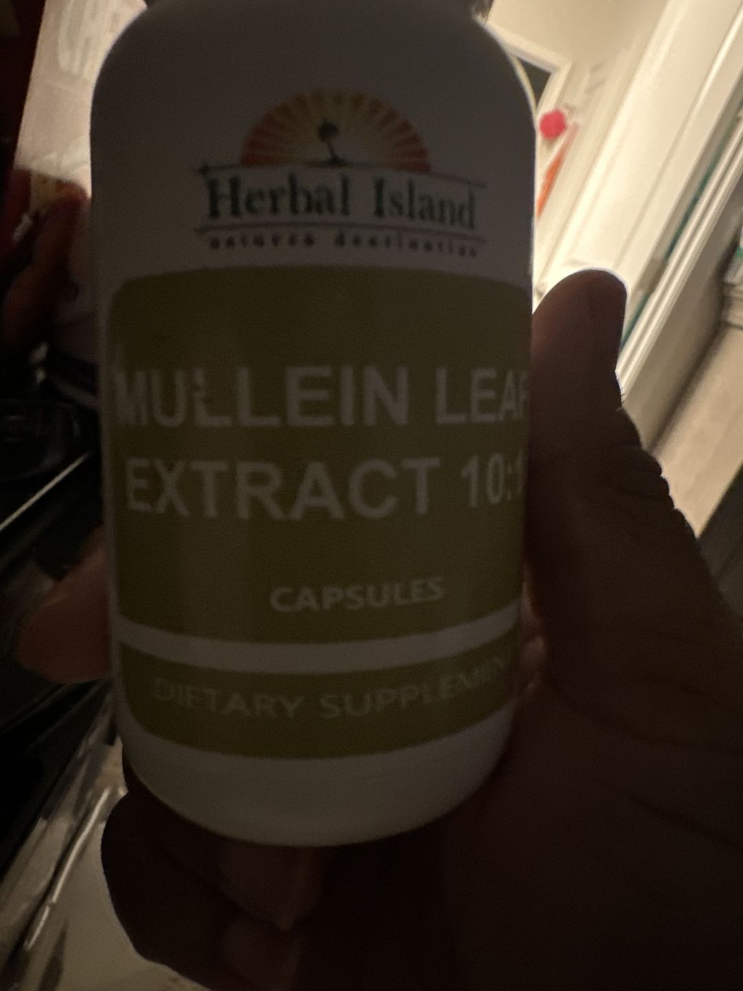Customer photo review of Mullein Leaf Capsule (Lung Detox Mucus)