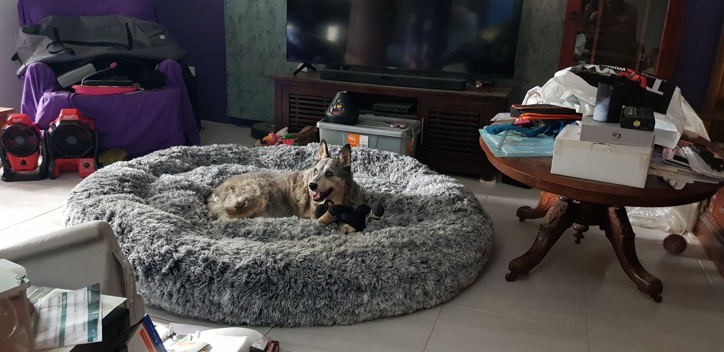 Customer photo review of The Human Size Nap Bed
