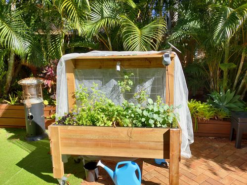 Customer photo of their LARGE Raised Garden Bed on Wheels