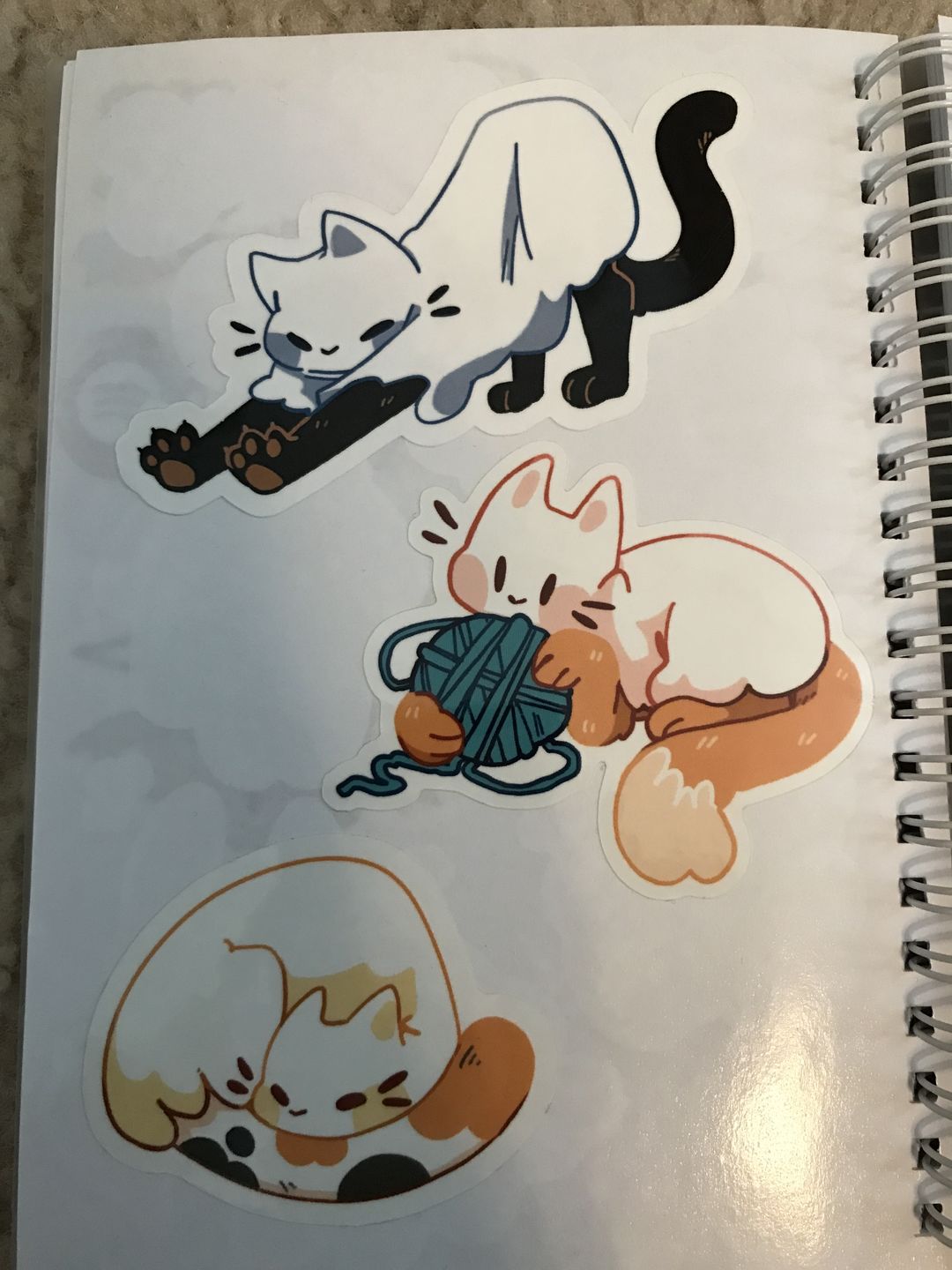 Customer photo review of Cute Ghost Cat Stickers!