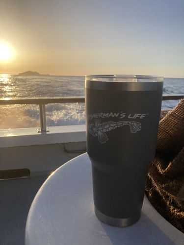 Customer photo review of 30oz Insulated Tumbler w/ Lid THREE DESIGNS: Lingcod, Yellowtail, Dungeness Crab