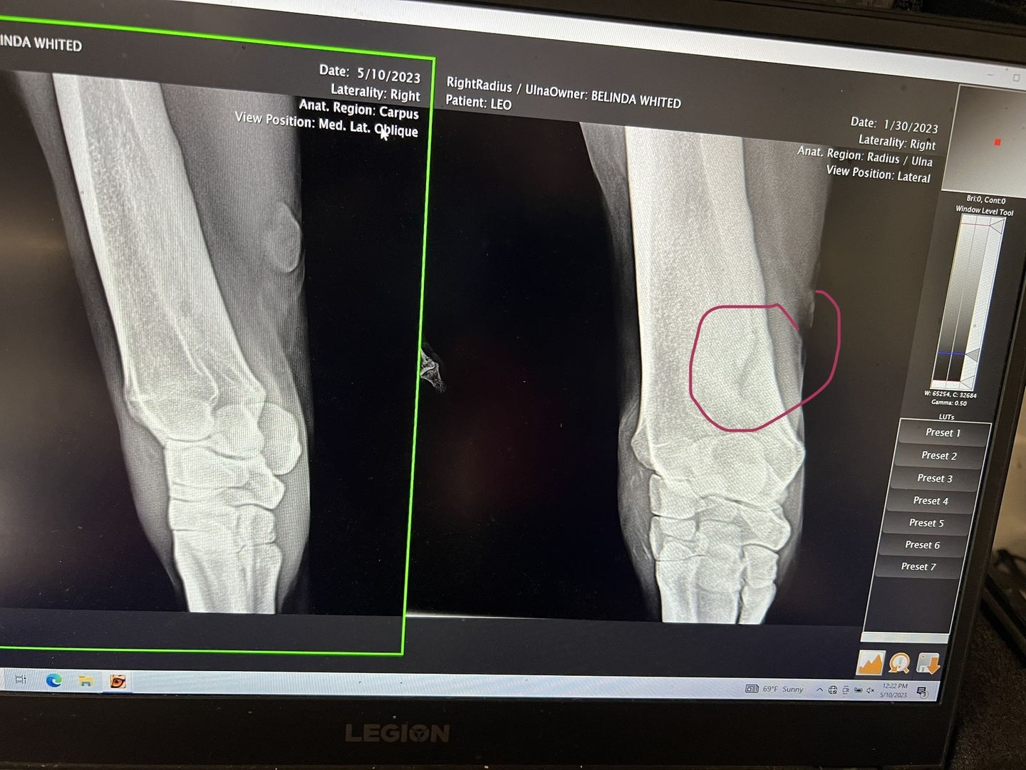 Customer photo review of OptiWize Collagen +Plus Equine 14lbs