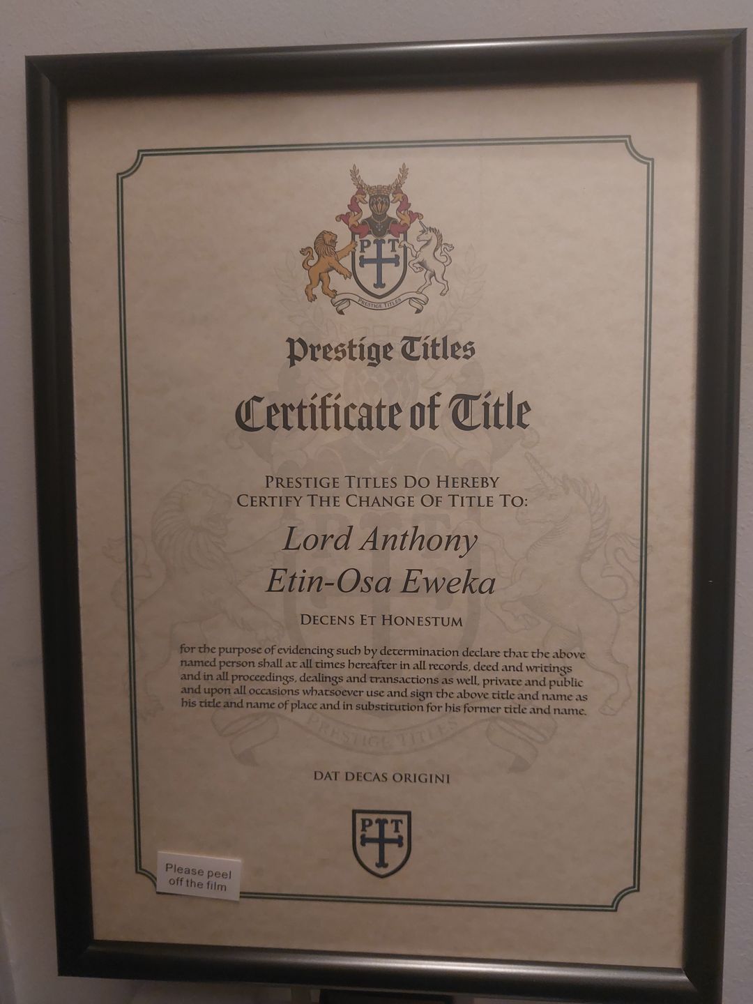 Customer photo review of Frame your certificate