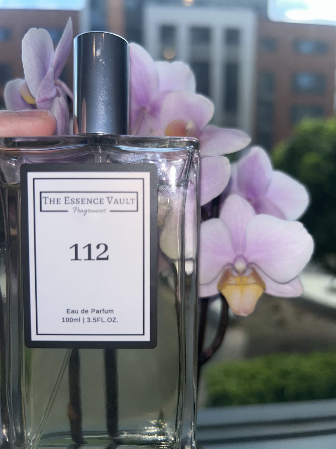 Customer photo review of Inspired by Love Don't Be Shy - 112